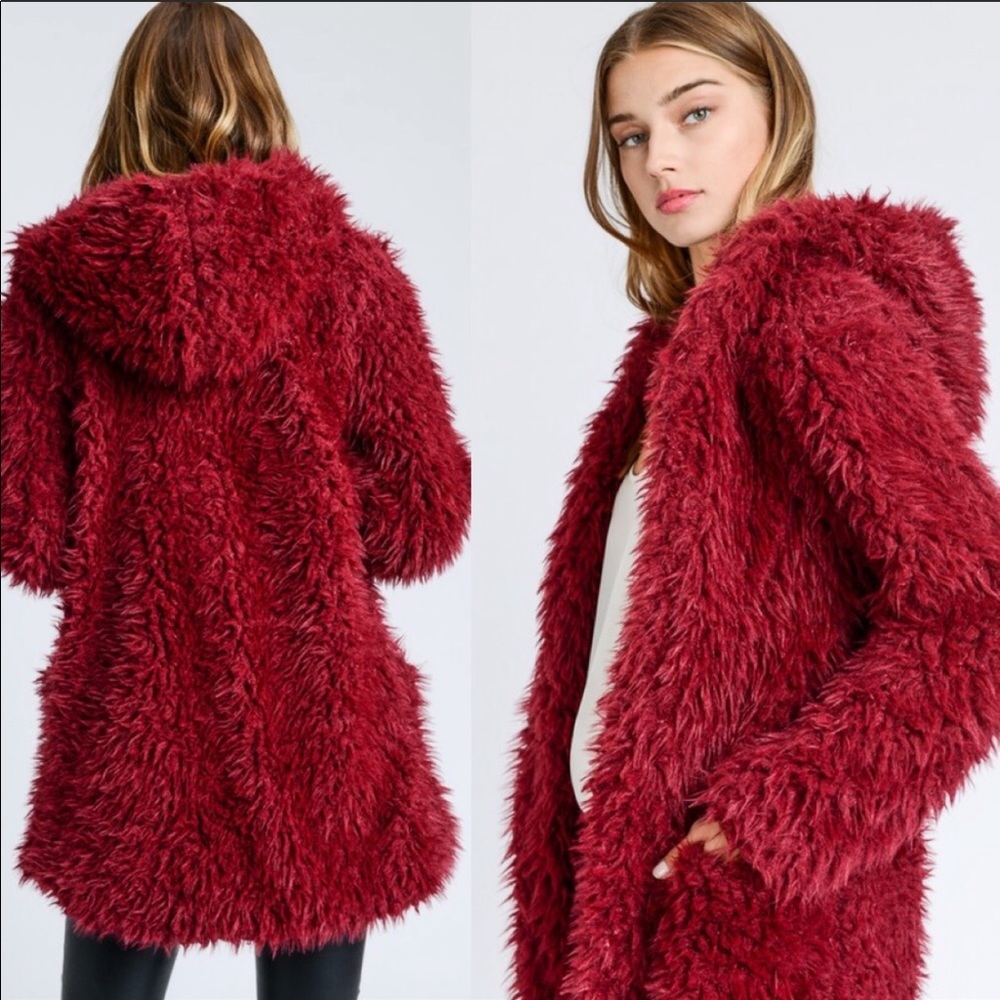 ✨LAST ONE✨Gorgeous fabulous hooded jacket - Picture 3 of 3